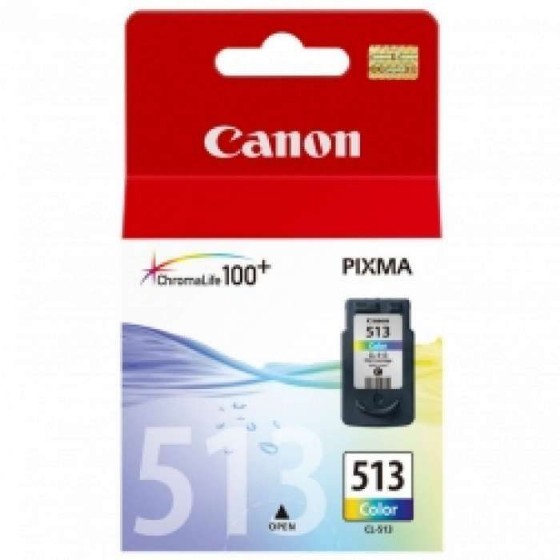 ��� ��� ������ Canon CL513 ����