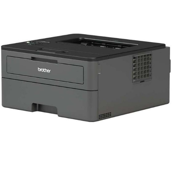 ����� ������ ���� Brother HL-L2370DN