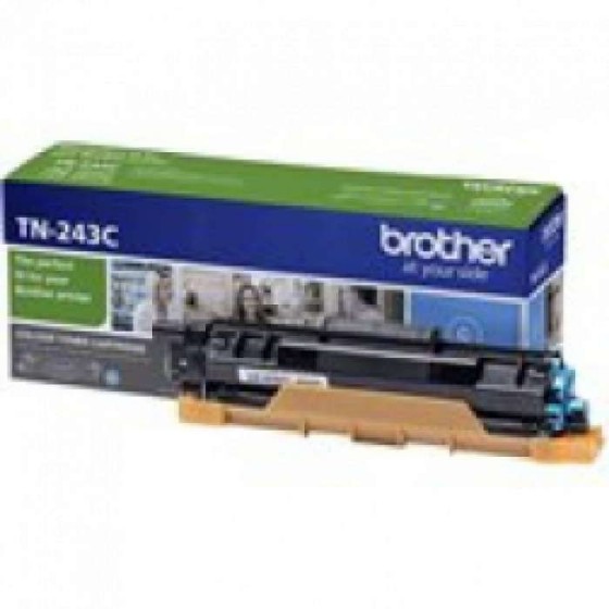 ���� ������ ����� C ��� ����  TN243