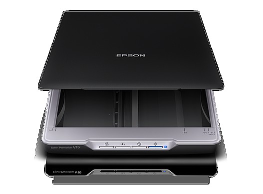 ���� EPSON PERFECTION V19
