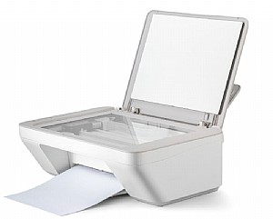 ���� ������ ������ - ������ ������ ���� ���� �������