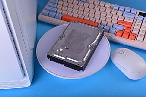 ���� ����� ����� - ������ ���� ���� ��������